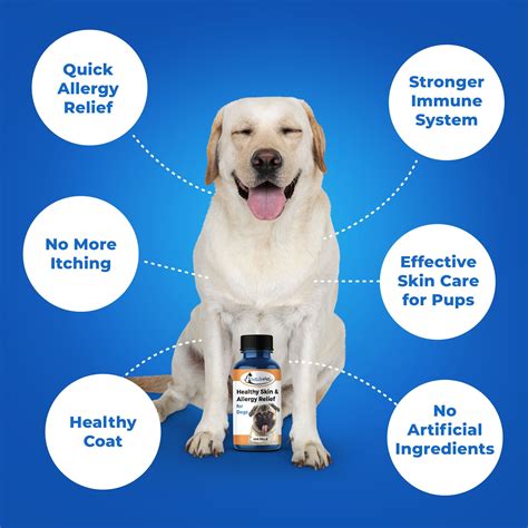 Healthy Skin And Coat Plus Allergy Relief For Dogs 450 Pills Dog