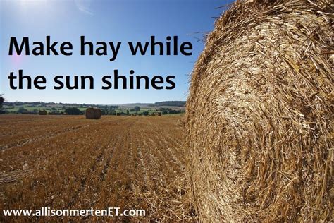 Make Hay While The Sun Shines Artinya 2021