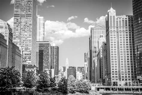 Chicago Cityscape Black And White Picture Photograph By Paul Velgos