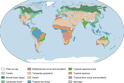 Where In The World Are These Biomes Biomes Uwsslec Libguides At