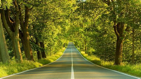 Download Hd Nature Trees And Road Wallpaper