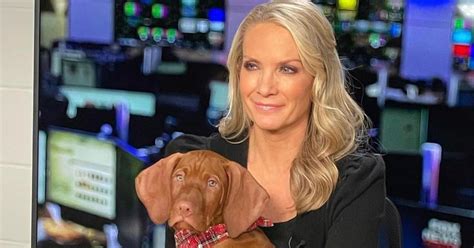 Is Dana Perino Still On ‘the Five Career Info For Fox News Host