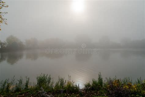 Foggy Morning By The River Stock Image Image Of Calmness 237870053