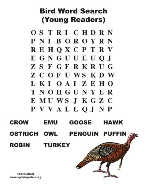 Bird Word Search (Primary)