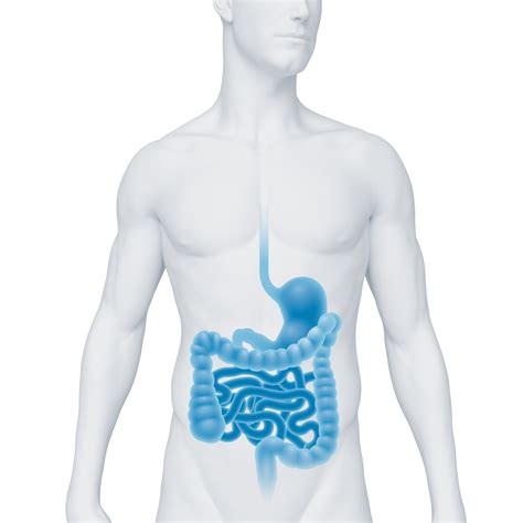 Hernia hiatala este protruzia stomacului deasupra diafragmului. Hernie hiatale par roulement pdf Australian Capital Territory