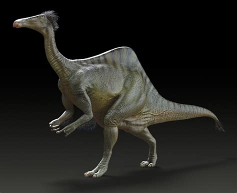 Deinocheirus Dinosaur Alive Wiki Fandom Powered By Wikia