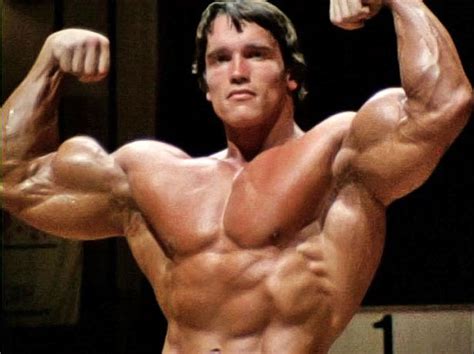 Arnold Schwarzenegger A História Do Mestre Treinos Academia