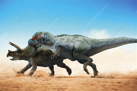 Tyrannosaurus Rex Hunting Illustration Stock Image C0510897