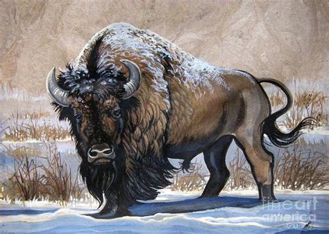 American Bison Winter Painting By Anne Shoemaker Magdaleno Fine Art