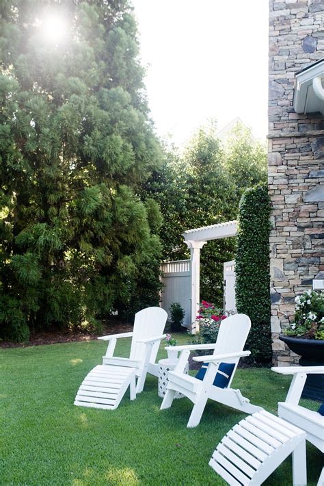 Top 5 Privacy Trees For Backyard That Give Evergreen Color