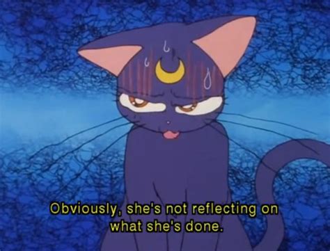 View 18 Sailor Moon Aesthetic Pfp Cat Imagecloudyinterestkw 6195 Hot Sex Picture