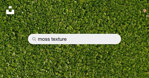 500 Moss Texture Pictures Hd Download Free Images On Unsplash