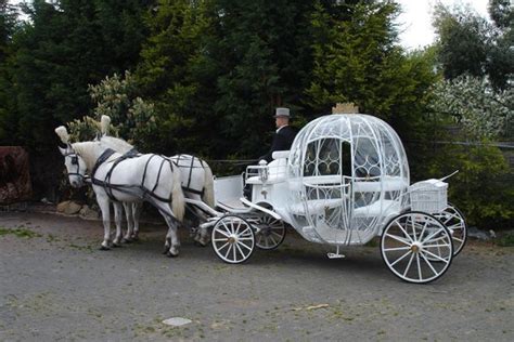 Stephen Davies Wedding Carriage Horse And Carriage Wedding