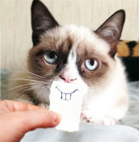 Happy Grumpy Cat Photo Lol Me