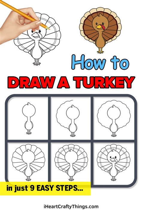 Turkey Drawing - How To Draw A Turkey Step By Step