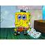 11 SpongeBob SquarePants Memes That Describe Every High Schooler Taking 