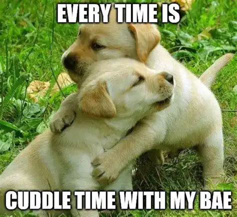 37 Cute Cuddle Memes To Share With Your Loved Ones Ripe Social