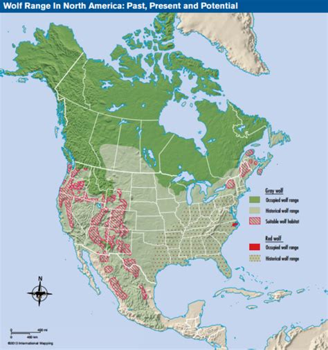 Wolfrangeinnorthamerica Survival Skills Guide