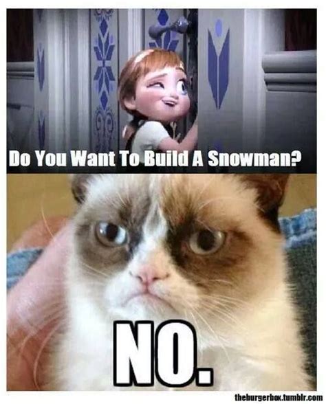 Grumpy Cat Hates Frozen Grumpy Cat Humor Funny Grumpy Cat Memes