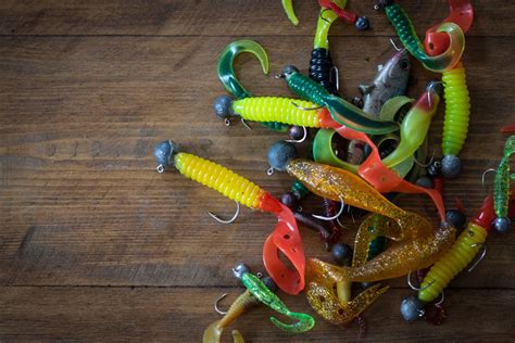 Most Common Types of Fishing Lures - All You Need to Know