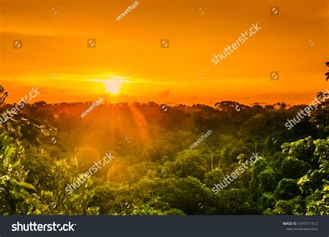 Amazon Rainforest Sunset Images Stock Photos And Vectors Shutterstock