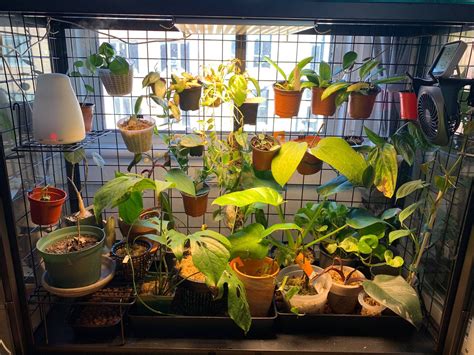 Maybe you would like to learn more about one of these? Convert Ikea Milsbo (wide) cabinet into greenhouse