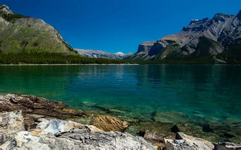 Download Wallpapers Mountain Lake Forest Summer Emerald Lake