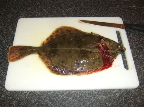 How To Cook Flounder With Recipes Delishably