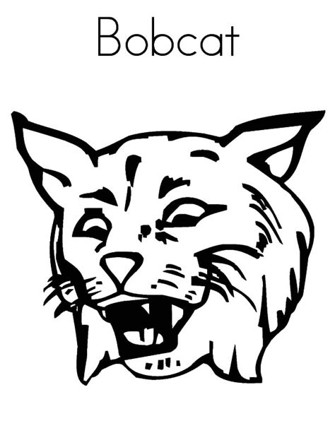 B Is For Bobcat Coloring Pages Best Place To Color Online Coloring