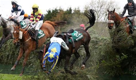 , 36 ( 2004 ) , pp. Why do horses die at the Grand National? Why is course so ...