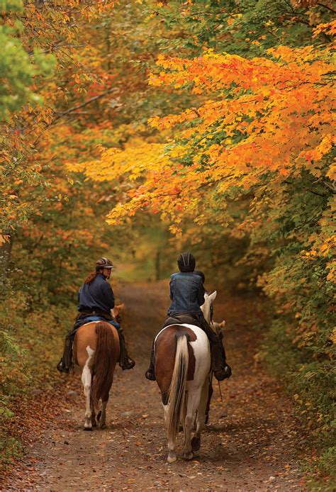 Fall Horseback Trail Riding Tips