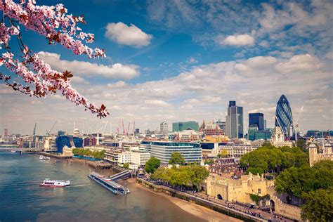 What flowers bloom in spring? Where to see the first flowers of spring in London