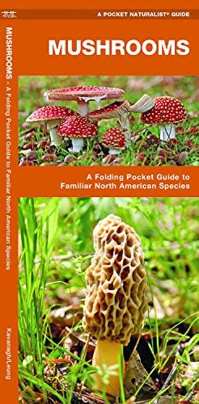 Mushrooms A Folding Pocket Guide To Familiar North American Species