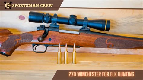 Can You Use A 270 Winchester For Elk Hunting