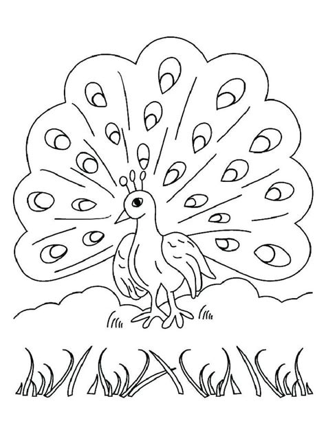 Baby Peacock Coloring Pages Awesome Peacock Coloring Pages Ideas