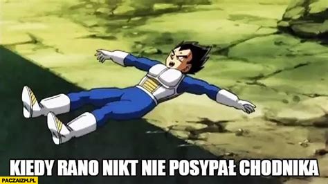A ripped article of clothing worn 1. Kiedy rano nikt nie posypał chodnika Vegeta Dragon Ball ...