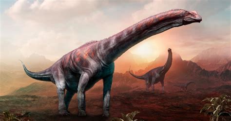 Researchers Find Sauropod Dinosaurs Remains In Meghalaya