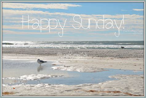 Happy Sunday Happy Sunday Happy Sunday Quotes Beach