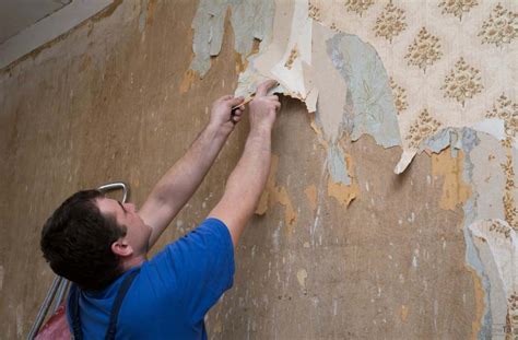 5 Easy Tips To Remove Wallpaper From Plaster Howto