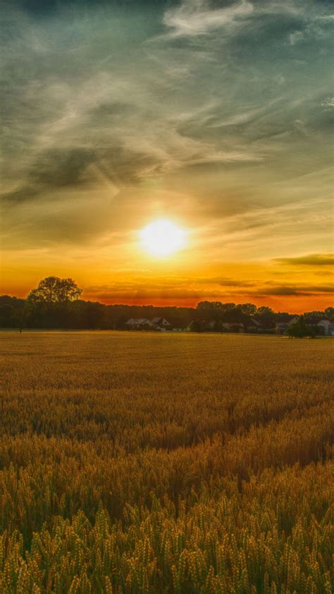 Download Summer Sunset Farm Landscape Nature 1080x1920 Wallpaper