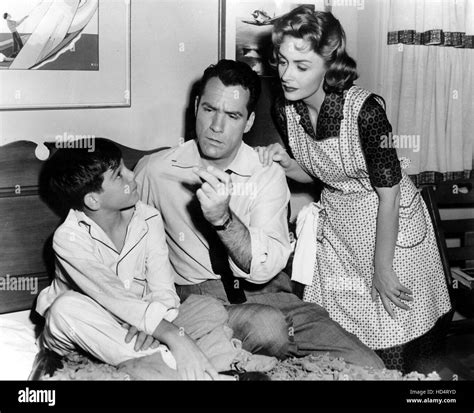 Donna Reed Show Paul Petersen Carl Betz Donna Reed 1958 1966 Stock