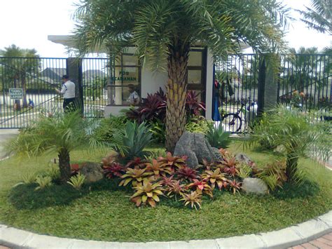 Palms Landscape Ideas