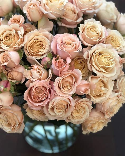 Gorgeous Sahara Sensation Spray Roses Wedding Flower Types Spray