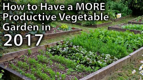 10 Ways To Make Your Vegetable Garden More Productive In 2017and