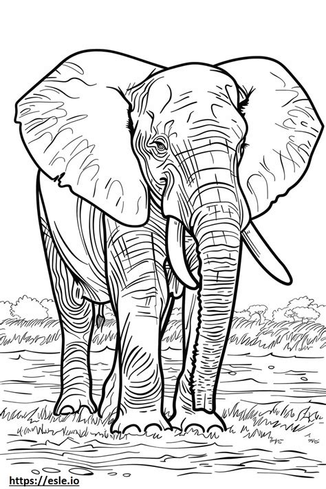 African Forest Elephant Friendly Coloring Page