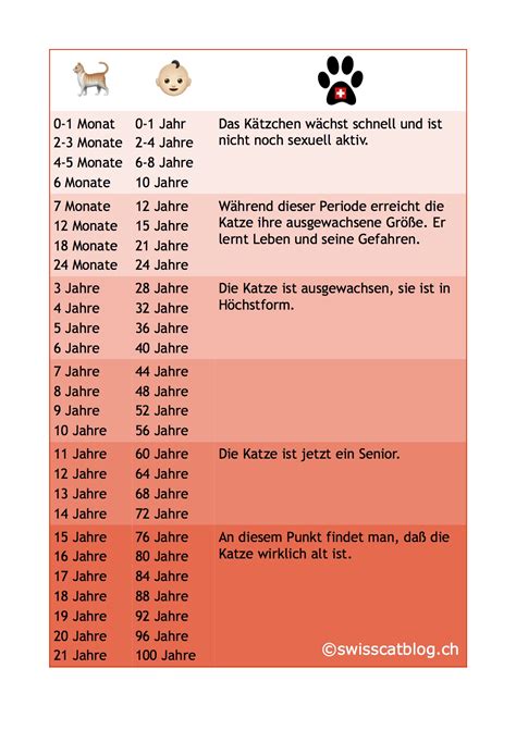 Wie alt ist eure Katze ? | The Swiss Cats