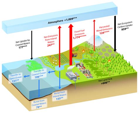 Whether it's urgent or just needs to be renewed, here's how long it takes to get a passport before traveling. What is the Carbon Cycle? What is the science behind it ...