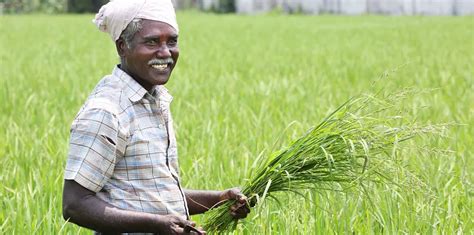 Prime minister narendra modi released the third installment of the scheme to approximately 6 crore beneficiaries in karnataka's tumakuru on thursday. PM Kisan Yojana Beneficiaries will Get Rs. 42,000 in a year; Know How?