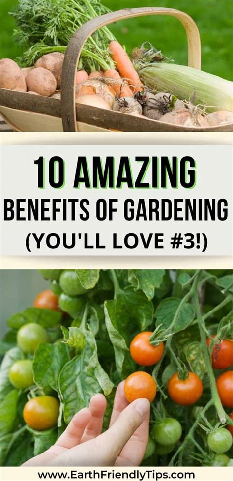 Awesome Benefits Of Gardening Earth Friendly Tips