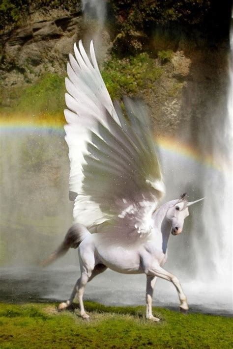 Pin By Tina Ray On Pegasus Cute Fantasy Creatures Unicorn And